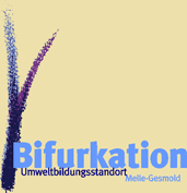Logo Bifurkation